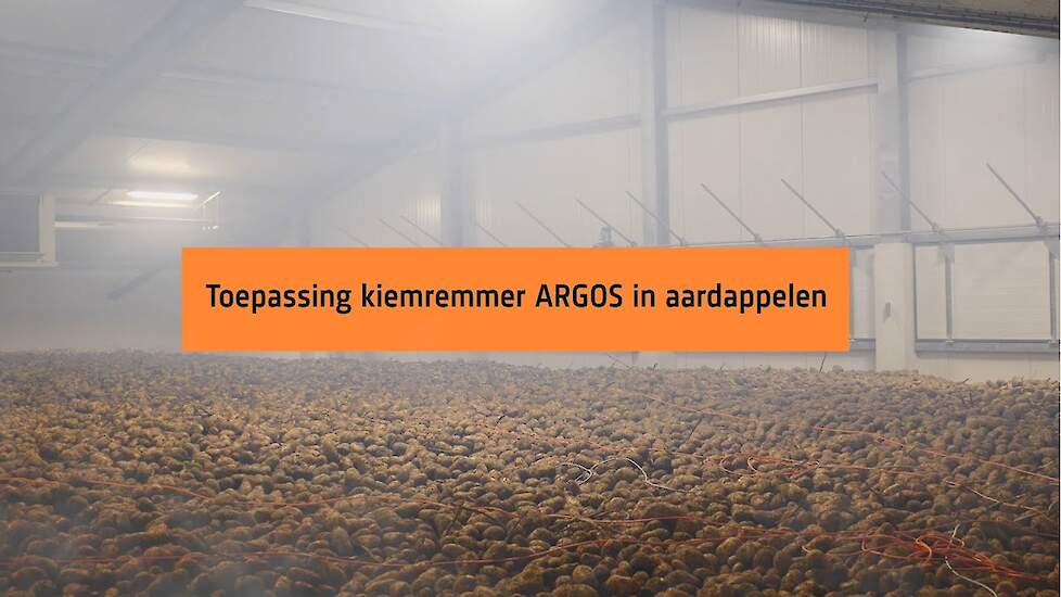 Hoe pas je kiemremmer ARGOS het beste toe in de aardappelbewaring?