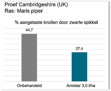 aangetaste knollen zwarte spikkel