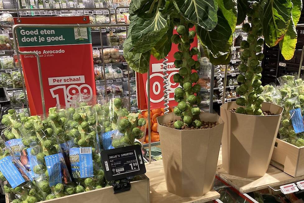 De spruiten in de supermarkt.