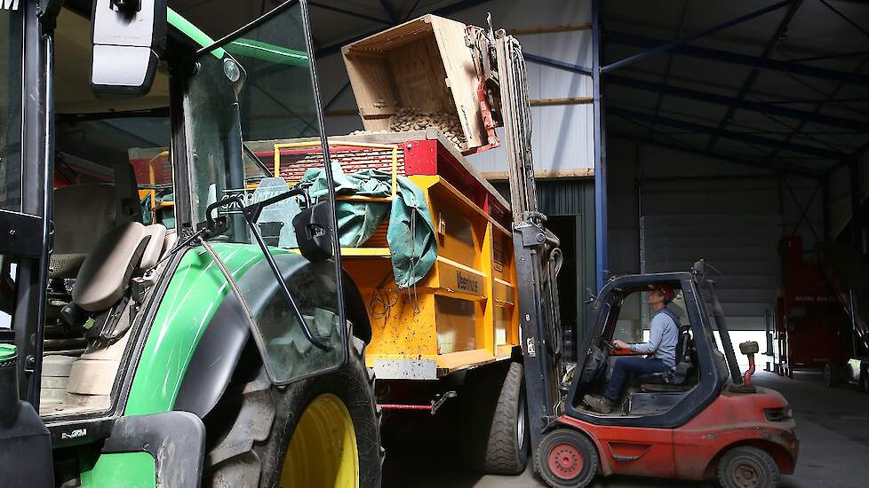 Minkhorst teelt in totaal 260 hectare aardappelen, waarvan de pootgoedteelt de belangrijkste tak is.