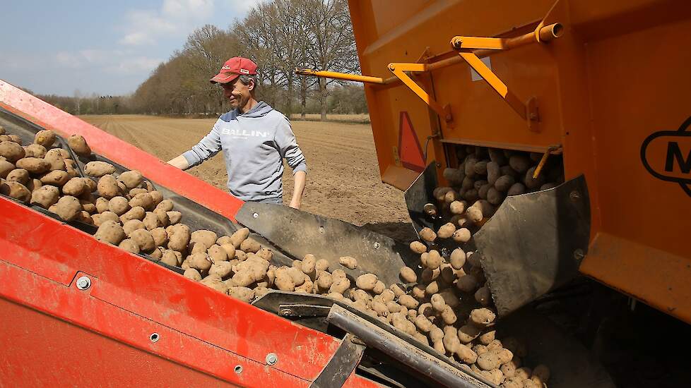 Minkhorst is op 1 april begonnen met poten. Na een week sloeg het weer om. Door de winterse omstandigheden heeft het poten vervolgens tien dagen stilgelegen. „Nu zijn we net weer begonnen.” Er zit nu 75 hectare in.