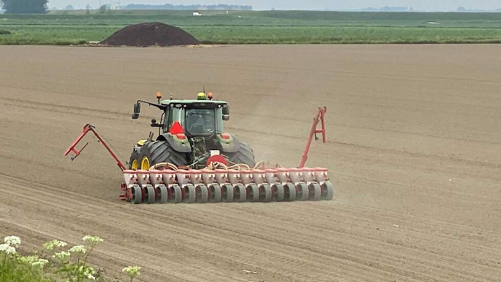 De bonen worden gezaaid onder gunstige omstandigheden. „Maar een buitje na de zaai zou welkom zijn.”