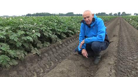 Crop Advisor en aardappelspecialist Simon Jensma.