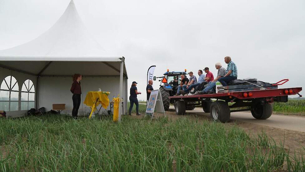 Frank Druyff van Koppert liet biostimulanten in zaaiuien zien. Hitte, droogte, uienvlieg en dergelijke zijn stressfactoren voor de plant, geeft Druyff aan. „De plant verslapt door een moleculaire stressreactie." Met behulp van de stimulanten gaat de plant