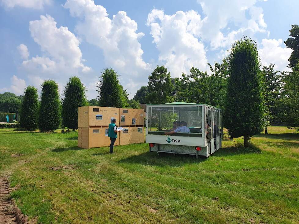 Thijs Schoenmakers verteld over het onderzoek naar onderzaai in aardappelen waar DSV bij betrokken is.