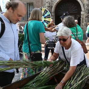 De gladiolen worden normaal gesproken uitgedeeld aan Vierdaagselopers die het wandelevenement hebben volbracht. Vanwege de coronapandemie gaat de Vierdaagse voor de tweede keer op rij niet door, waardoor boeren met de bloemen blijven zitten.