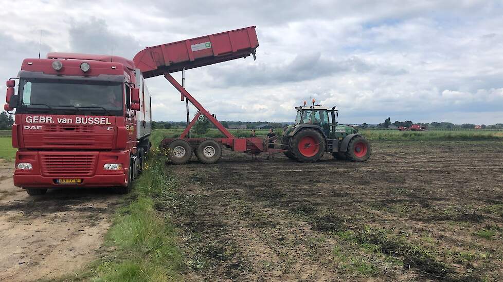 Met een overslagkiepwagen worden de tuinbonen in de vrachtwagen gedumpt. De groene bonen worden vervoerd in een laag water, omdat ze anders zwart van kleur worden.