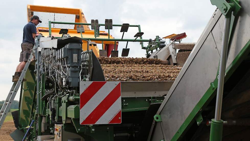 De teelt en verwerking van zilveruien is de hoofdactiviteit. Veco BV teelt bijna al haar zilveruien in eigen beheer. De teeltgebieden liggen in de Noordoostpolder, Drenthe en Limburg.