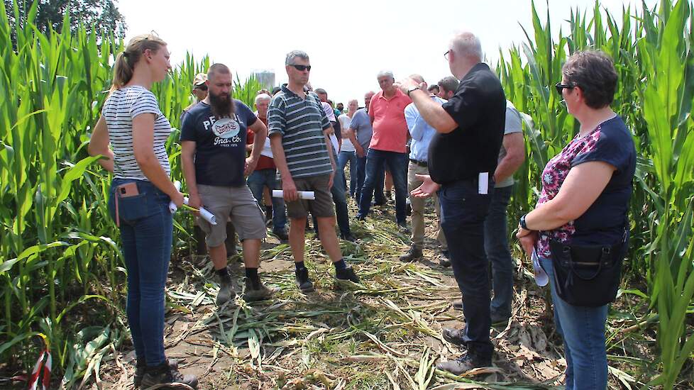 Clercx adviseert boeren om alle percelen geregeld over te lopen om het op de aanwezigheid van knolcyperus te inspecteren. Een optie is om met behulp van een drone de eventuele aanwezigheid van het onkruid in kaart te brengen. Dit onkruid verspreidt zich h