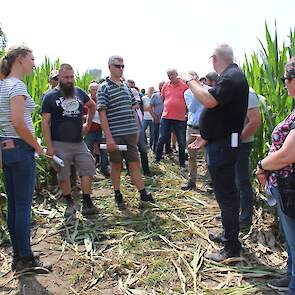 Clercx adviseert boeren om alle percelen geregeld over te lopen om het op de aanwezigheid van knolcyperus te inspecteren. Een optie is om met behulp van een drone de eventuele aanwezigheid van het onkruid in kaart te brengen. Dit onkruid verspreidt zich h