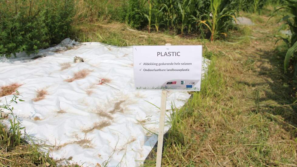 Afdekking van het onkruid met kuilplastic gedurende het groeiseizoen.