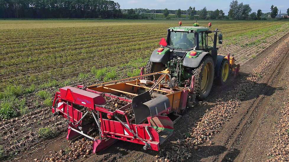 Uien rooien | Harvesting onions | Zwiebeln roden | MacLouis | Keulmac | 2 x John Deere | Uienoogst