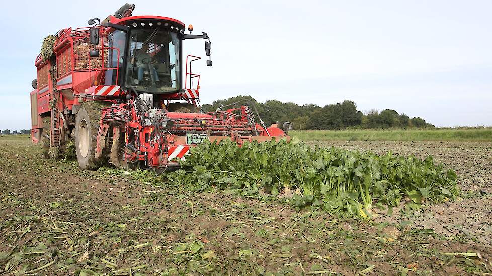 Behendig rooit Johan Datema, met de zelfrijdende Holmer bunkerrooier, ook de laatste bieten.