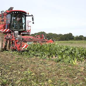 Behendig rooit Johan Datema, met de zelfrijdende Holmer bunkerrooier, ook de laatste bieten.