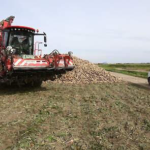 Het betreft een bietenperceel van 10 hectare. Deze bieten vormen de eerste levering. De bestemming van de bieten is voor Knook nog onbekend. „Meestal gaan ze van hieruit naar Groningen. Maar soms net voor het weekend ook wel naar Dinteloord”, weet Knook.