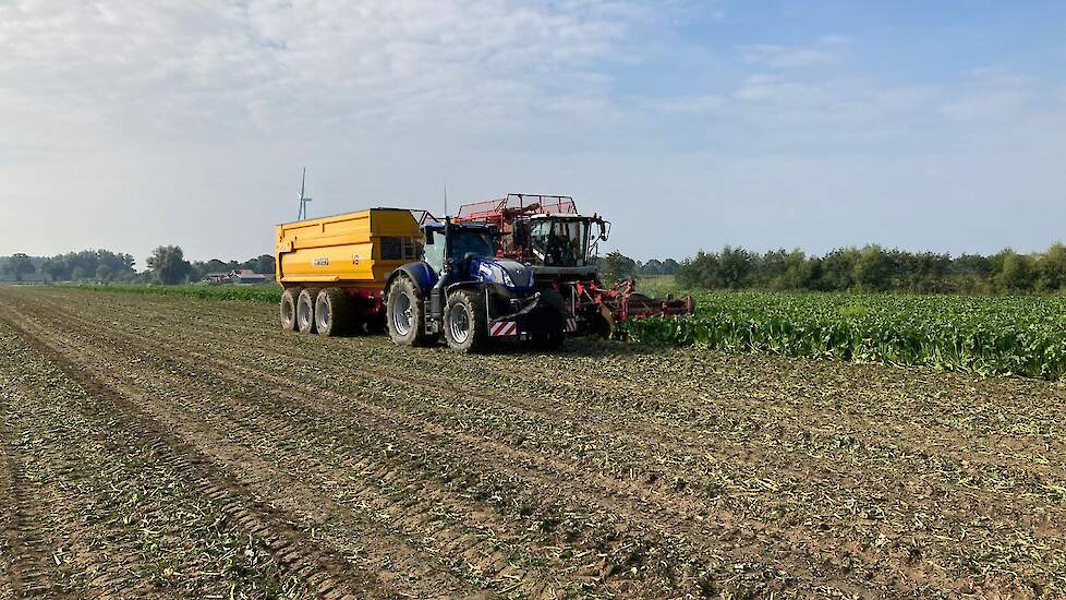 Rooien en overladen op de kipper