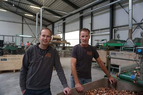 Roy Broersen (links) en Jan Strooper runnen samen het bloembollenbedrijf DutchFlora in Warmenhuizen (N-H). Jaarlijks telen de compagnons zo’n 50 hectare tulpen, waarvan 40 hectare eigen teelt en 10 hectare op contract voor derden. Verder broeien ze jaarli