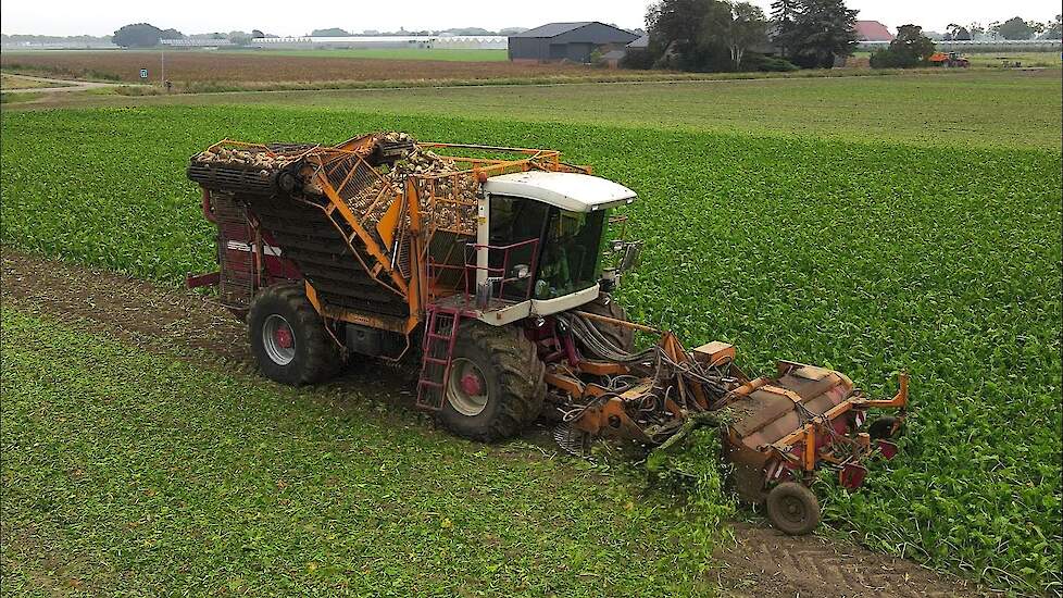 Suikerbieten rooien | Sugar beet harvest | Zuckerrüben roden | Agrifac | ZA 215 | Bietenoogst 2021