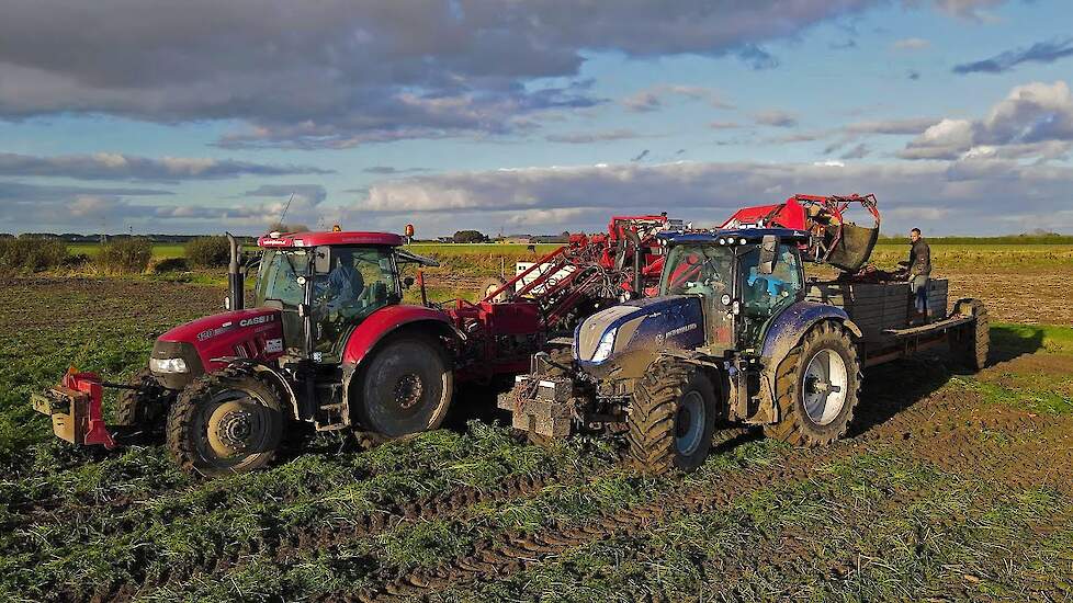 Wortels rooien | Harvesting carrots | Möhren roden | Dewulf | Case IH | New Holland | Worteloogst