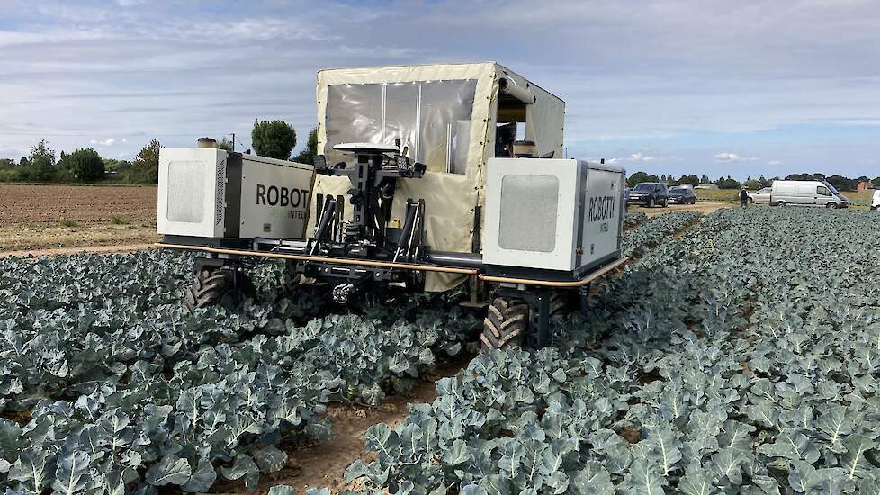 De RoboVeg Robotti combineert een veldrobot van Agro Intelligence met de broccoli-oogstrobot van RoboVeg. De Robotti werkt met twee motoren, met samen 104 kW, waarvan 40 kan worden opgenomen voor aftakaswerkzaamheden. Grote voordeel is nauwkeurigheid en b