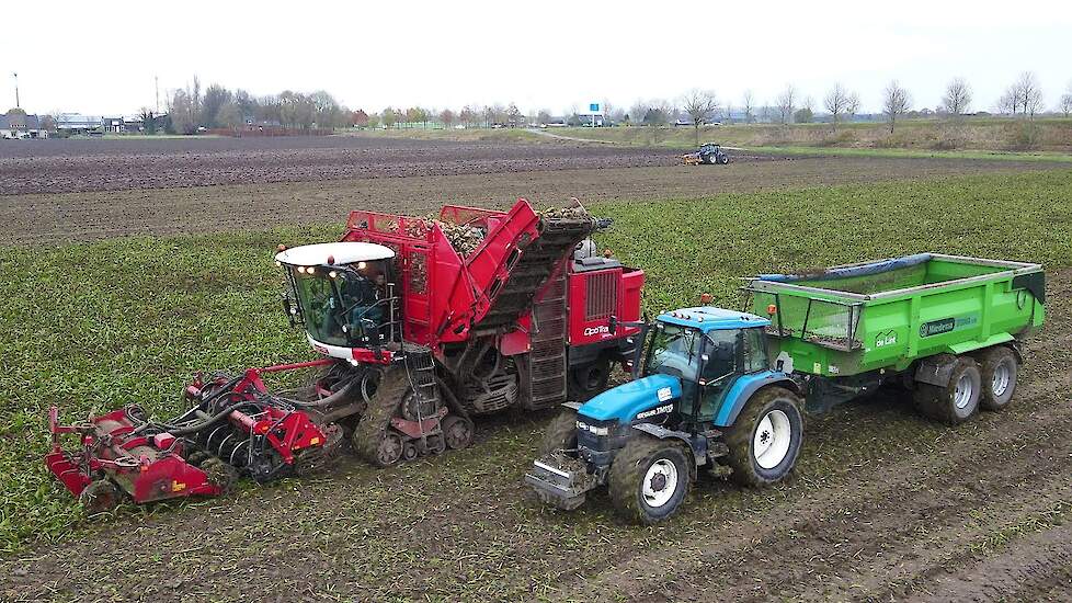 Suikerbieten rooien | Sugar beet harvest | Zuckerrüben roden | Agrifac Exxact OptiTraxx | Oogst 2021