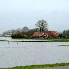 Uitzonderlijk grote watervlakten in het boerenland.