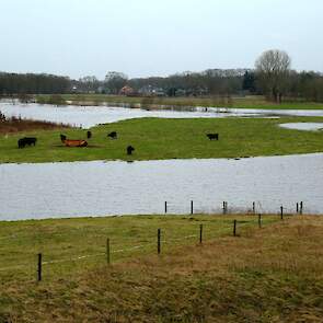 Het waterschap maande (vlees) veehouders hun vee niet aan hun lot over te laten maar maatregelen te nemen.