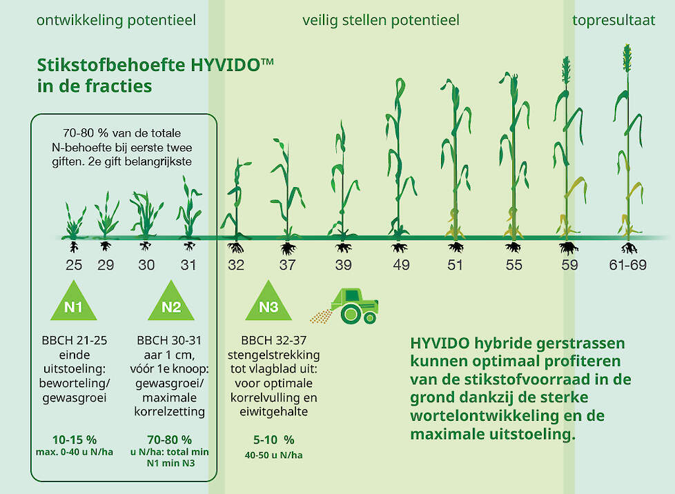 Stikstoftoedining HYVIDO hybride gerst wanneer en hoeveel toedienen