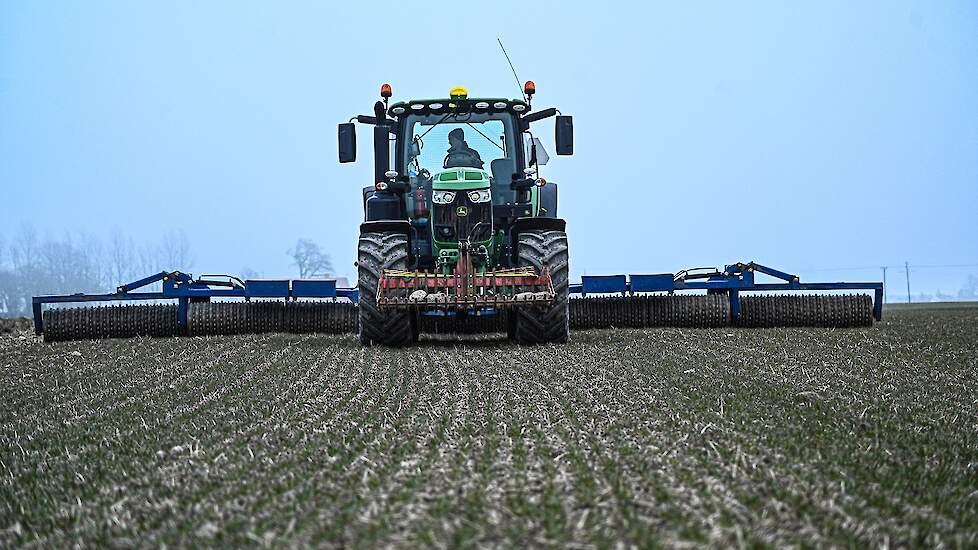 Op een ander perceel walst Zack Landgren de wintertarwe met een wals van het Deense merk Dalbo. De scholier werkt al langer bij Swartz en zal na zijn examen volledig bij haar aan de slag gaan.