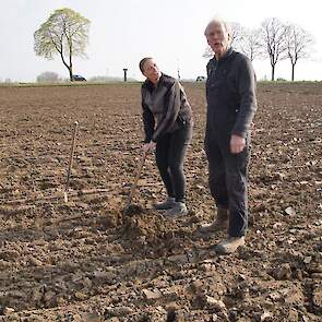 Jos Lamers maakte met Anna Zwijnenburg een kleine profielkuil op het perceel waar hij net een diploïde Engels raaigras 15 centimeter onderwerkte met een Lemken-ploeg. Zwijnenburg is nieuwsgierig hoe de grond na twee jaar graszaadteelt qua structuur en bod