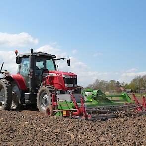 In Baak wordt op een stuk land van 10 hectare drie rassen pootaardappelen gepoot.