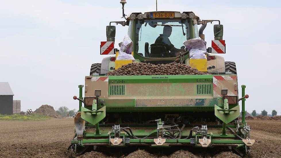 Volgens van As verloopt het poten goed. „Dit is zware grond en onderin is het nog nat genoeg.'