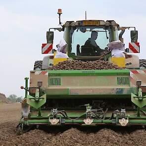 Volgens van As verloopt het poten goed. „Dit is zware grond en onderin is het nog nat genoeg.'