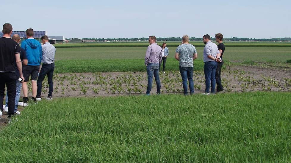 Telers en TopBodem-partners bekijken de demo van HLB in 1e Exloermond