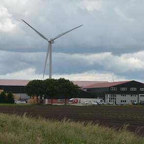 WeGrowOrganic is in slechts enkele jaren uitgegroeid van een samenwerkingsverband van enkele biologische boeren uit Zeewolde naar een volwaardig teelt- en verwerkingsbedrijf van biologische groenten. Het bedrijf breidt nu uit met een nieuwe bewaar- en ver