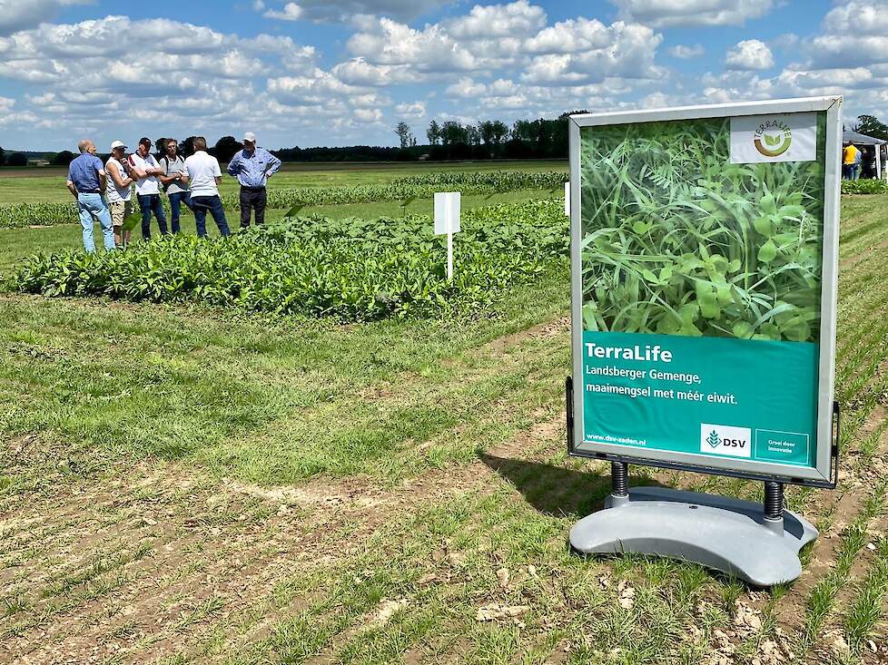 Arjan van der Vinne legde het nut van soortenrijke groenbemesters uit. Waarom kan men kiezen voor een soortenrijk mengsel, en wat zijn de voordelen van soortenrijke mengsels ten op zichte van losse componenten? De TerraLife® producten werden hierbij ook b