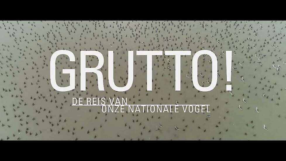 Grutto! - de officiële trailer