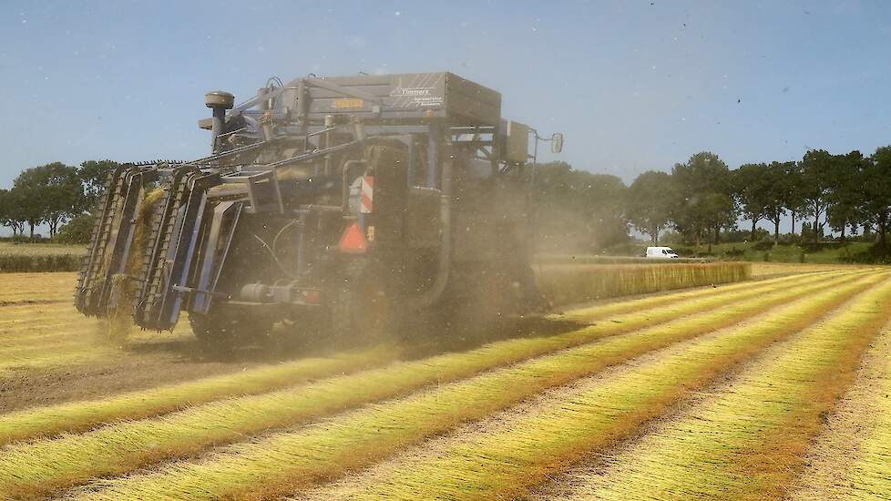 Linnen is al tien jaar bezig aan een opmars. De mondiale burger heeft in zijn zoektocht naar duurzaam en natuurlijk de linnen kleding herontdekt. Van de lange vezels gaat bij Van de Bilt 99 procent naar de textieltoepassing. De korte vezels gaan meer naar