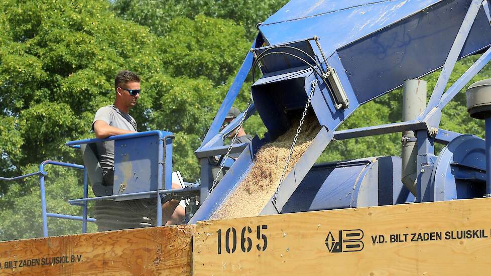 De opbrengsten van het zaad zijn goed. Waar een normale oogst uitkomt op 0,9 tot 1,1 ton per hectare zijn er nu uitschieters tot 2 ton. De negatieve uitschieters zitten op 0,75 ton per hectare. Vorig jaar werd gemiddeld 0,9 ton gehaald. „Dat was een jaar