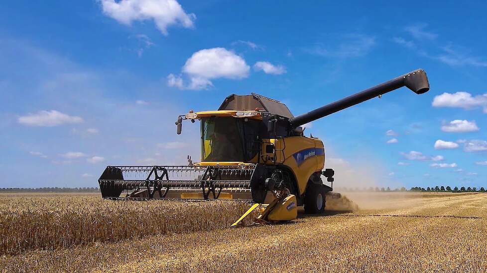 Wintertarwe dorsen | Wheat harvest | Weizen dreschen | New Holland | Graanoogst | Getreideernte 2022