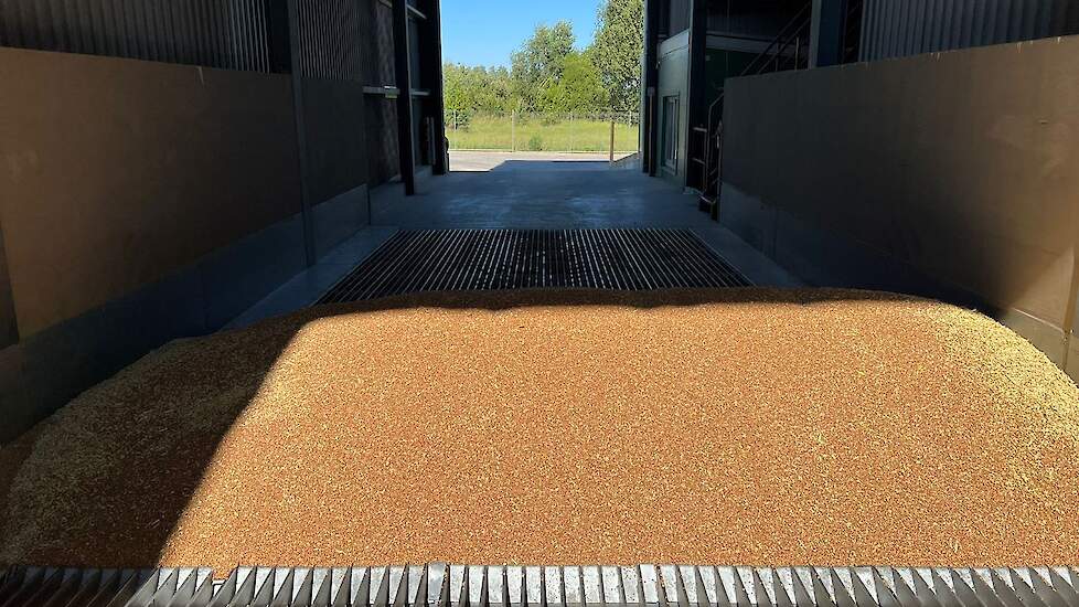 De grotere akkerbouwers in Letland beschikken veelal over eigen silo’s. Ook Noordam slaat de graanoogst op eigen bedrijf op. De kleinere boeren brengen hun graan naar een coöperatie waar het in het depot wordt opgeslagen.