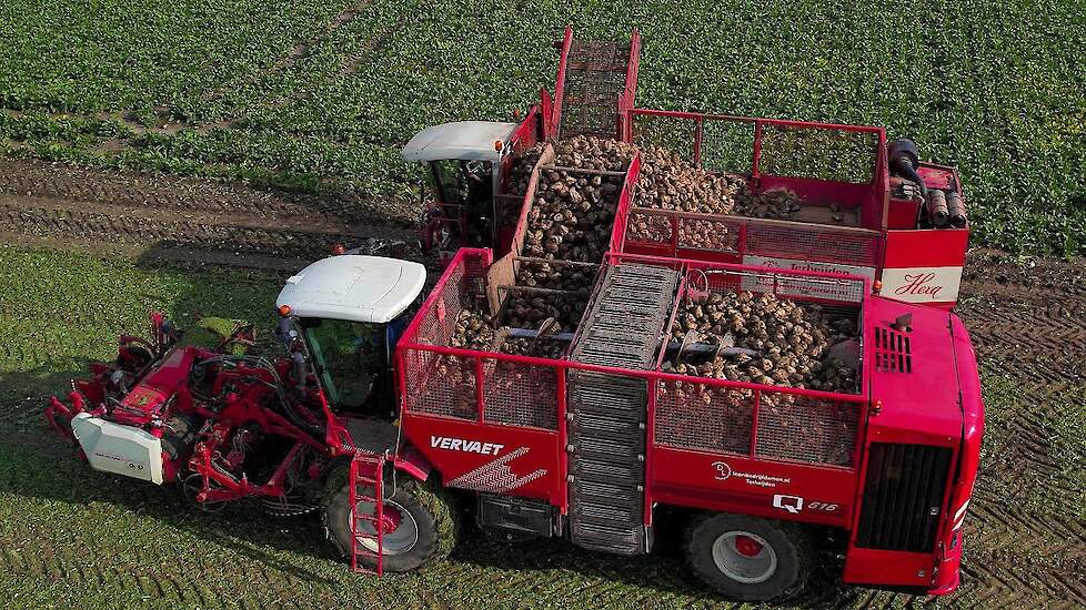 Suikerbieten rooien | Sugar beet harvest | Zuckerrüben roden | Vervaet Q616 | Agrifac | Bietenoogst