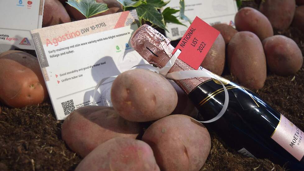 Agrico gaat met de Next Generation-rassen, aardappelen met een natuurlijke resistentie tegen phytophthora, door op de ingeslagen weg. Dit jaar zijn negen nieuwe rassen van het handelshuis toegevoegd aan de rassenlijst, waarvan een groot deel onder de vlag