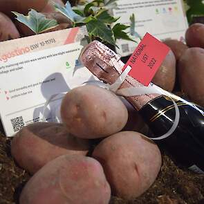 Agrico gaat met de Next Generation-rassen, aardappelen met een natuurlijke resistentie tegen phytophthora, door op de ingeslagen weg. Dit jaar zijn negen nieuwe rassen van het handelshuis toegevoegd aan de rassenlijst, waarvan een groot deel onder de vlag