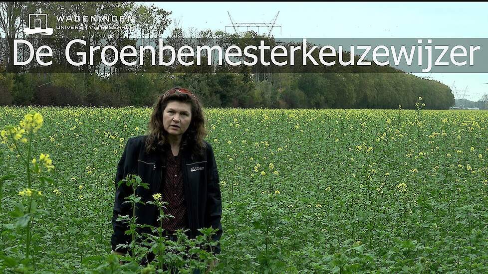 De groenbemesterkeuzewijzer