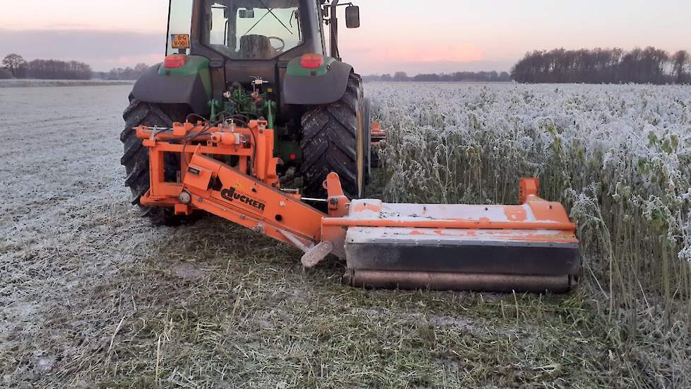 Enting is aan de ene kant blij met de vorst. „Kale vorst is altijd goed.” Aan de andere kant komt de vorst te vroeg. „Het brengt extra werk met zich mee voor de nog in het open veld liggende producten, zoals de aardappelen in de kuil en de bieten op de ho