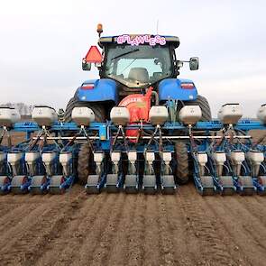 De machine zaait drie bedden van 1,50 meter breed, vijf rijtjes per bed. Tijdens het zaaien wordt granulaat toegevoegd tegen de uienvlieg. Ook geeft Haartsen een startmeststof mee voor een goede opkomst. Hij gebruikt een scherpe zaaikouter.