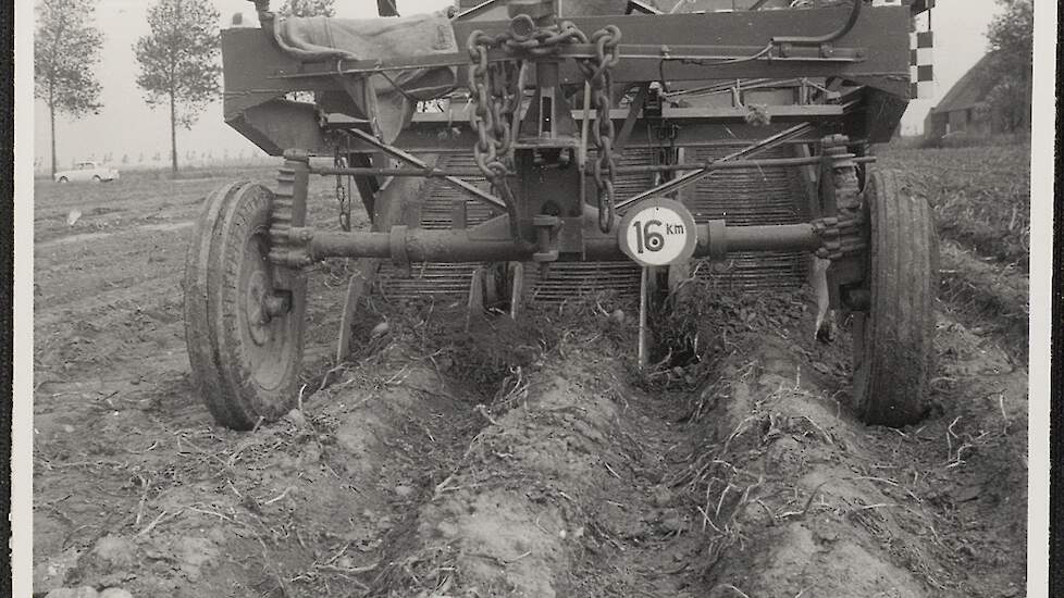 Aardappelen rooien, 1961