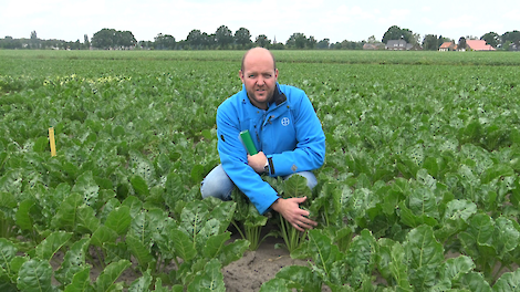 Sjors Leermakers is Crop Advisor en bietenspecialist bij Bayer