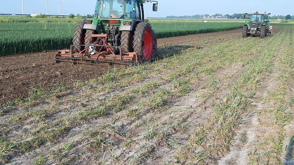 Er restte hem weinig anders dan de grond opnieuw klaar te leggen en te herpoten. Omdat de grond door de vele regen hard was geworden, heeft Mulder eerst de grond op bouwvoordiepte losgetrokken en vervolgens met een rotorkopeg er overheen.